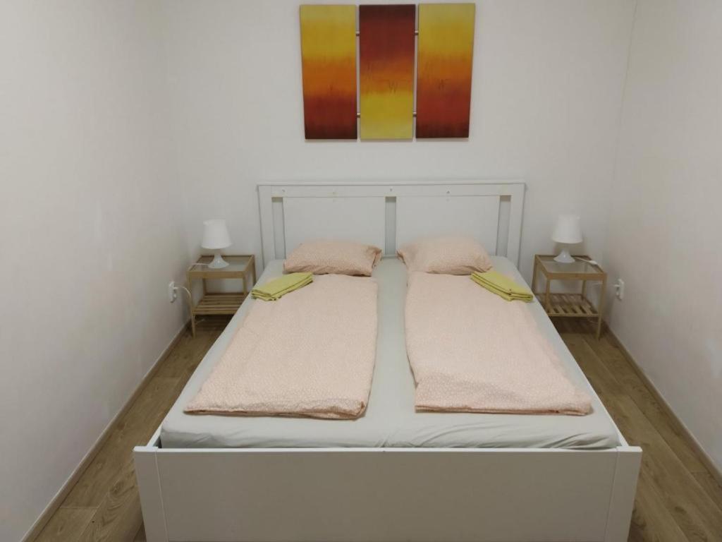 Near The Center With Privat Parking Apartment Brno